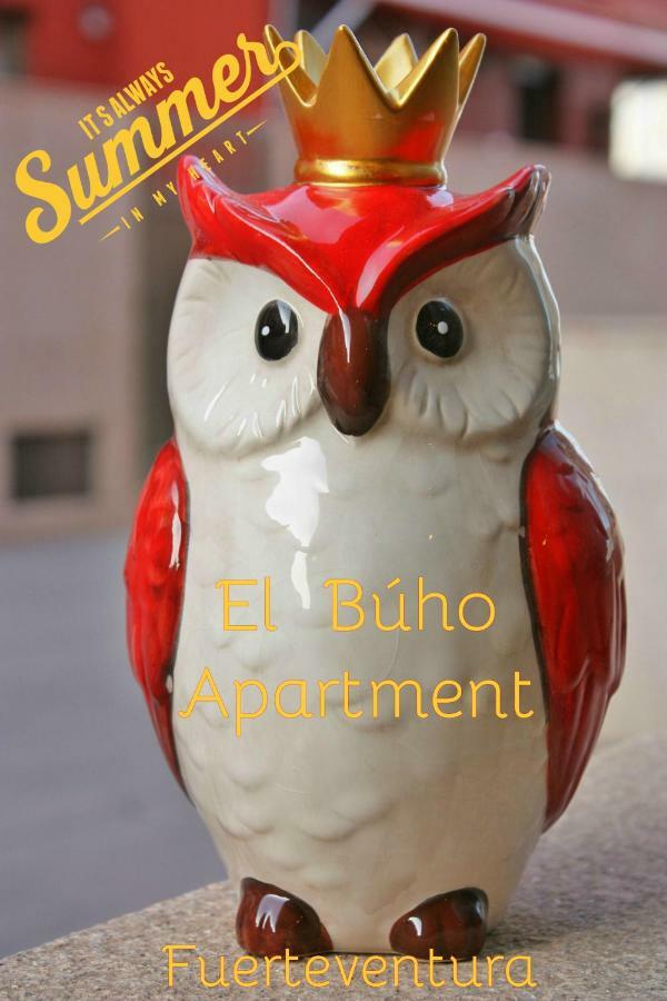 El Buho Apartment Wi-Fi Puerto del Rosario  Εξωτερικό φωτογραφία